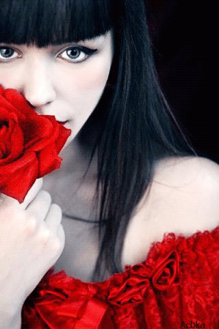 file_81727093