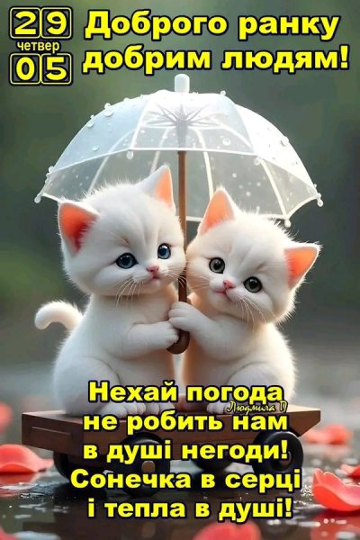 file_100138887