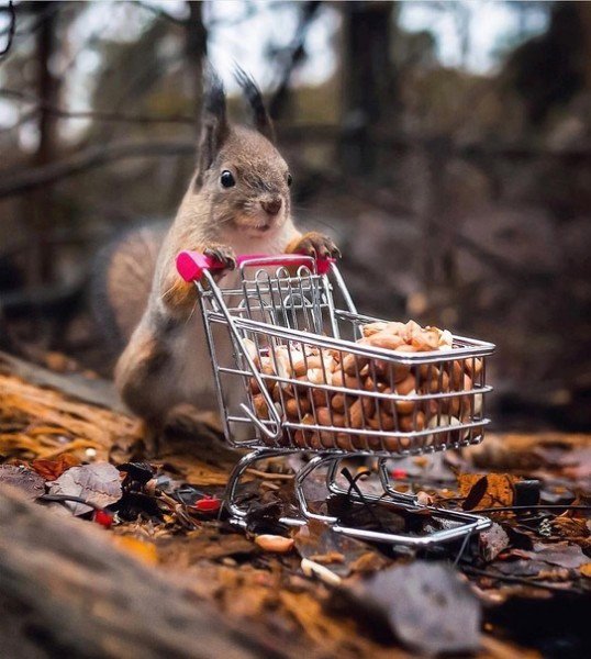 Пусть позитива в жизни будет много
