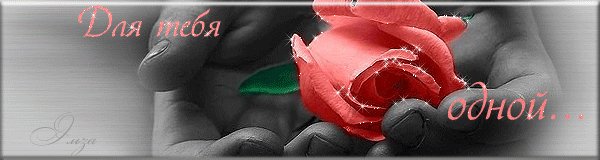 0 11da06 bfa8bf3d orig