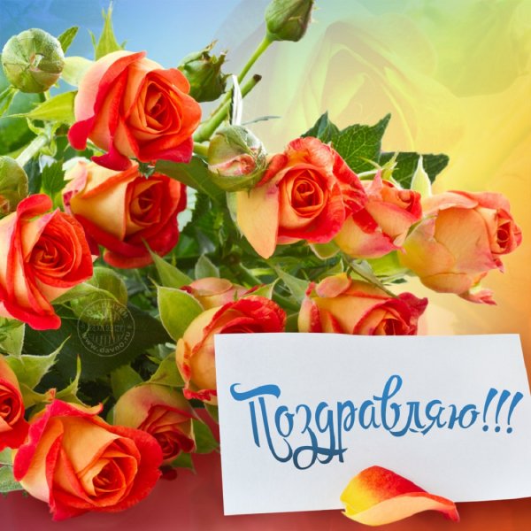 Поздравляю с днём Рождения!