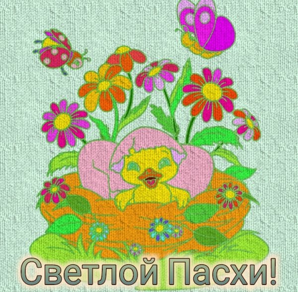 file_76889608