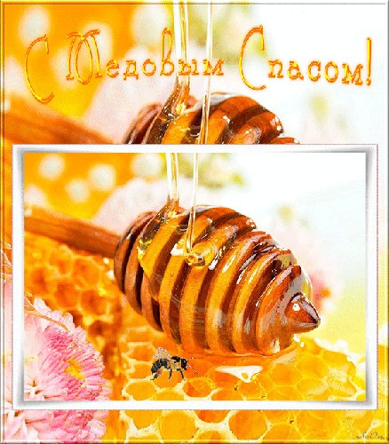 file_94298043