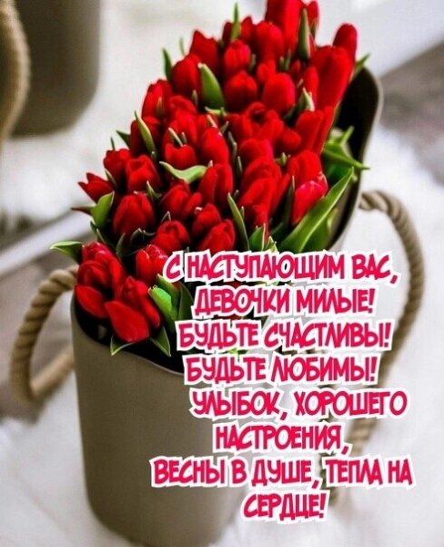 IMG 20240308 005335
