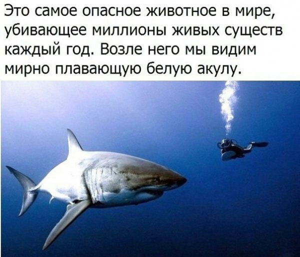 Image20171107004731613