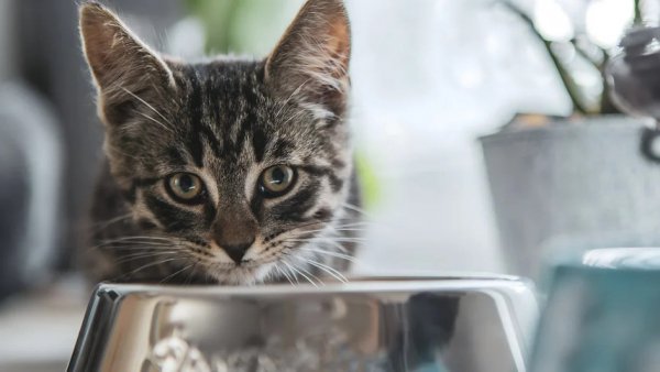 AQAONuNwsgm8XciVHtAUaHiwm9OKjzCALD2s2GNHE9AXhK-WHkGqhvmidgXe