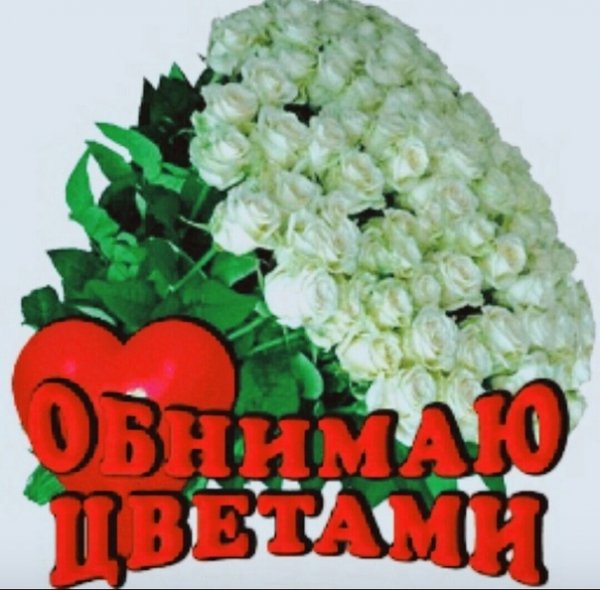 cEeiGVr7cdM