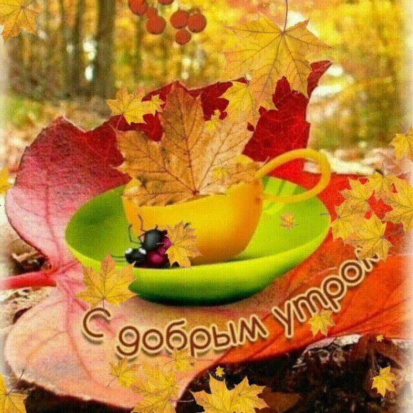С Добрым Утром!