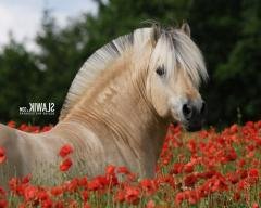 4dbfd5ea576be9d9f174baf69859ab3e