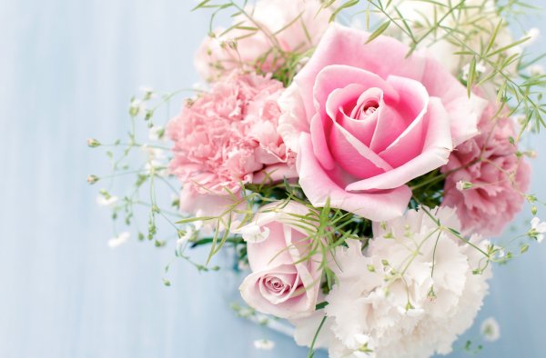 file_55091892