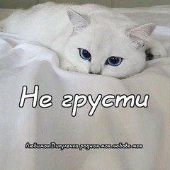 А8.5dfde51fc972d0ea121e23d50b65b135