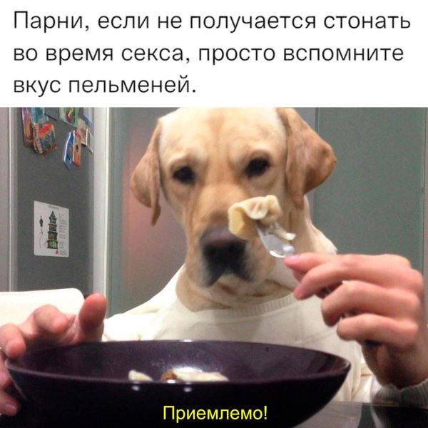 file_102626402