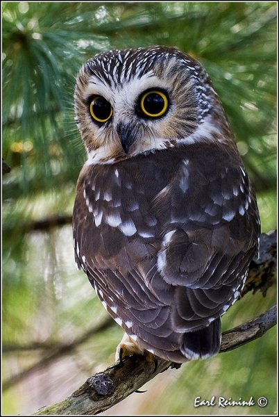 43c14ccce4a3e113e3ce907f23229a88