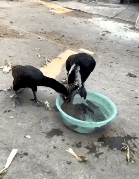 Маленький перекус