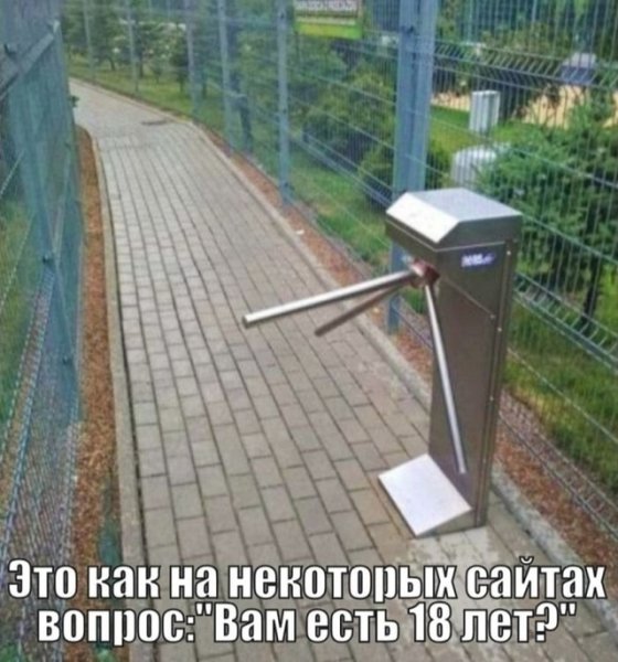 file_100264554