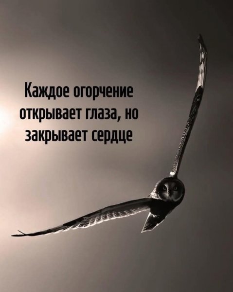 FB IMG 1766337160967