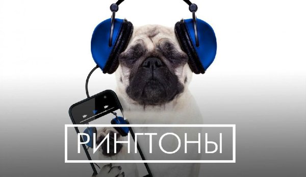 (Рингтон) Тоже мне вот Антоша