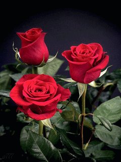 file_65110810