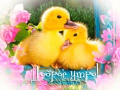 Доброе утро