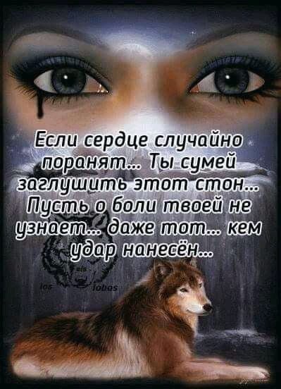 FB IMG 16375337083461956