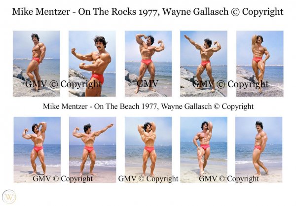 Restored-set-10-mike-mentzer 360 96891a320f3a022f136a608cec6