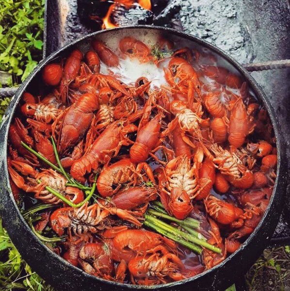 IMG 20181102 214458 845