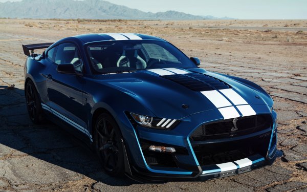 ford-mustang-shelby-gt500-sinii-2019