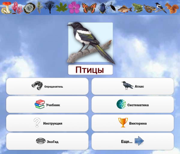 Птицы и Голоса 3.02