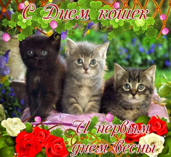 file_95997335