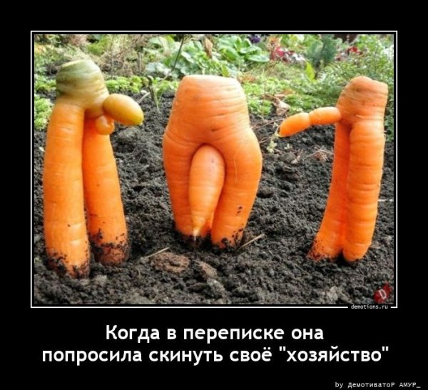 Приколы от природы