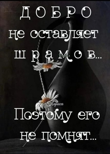 FB IMG 1753111055003