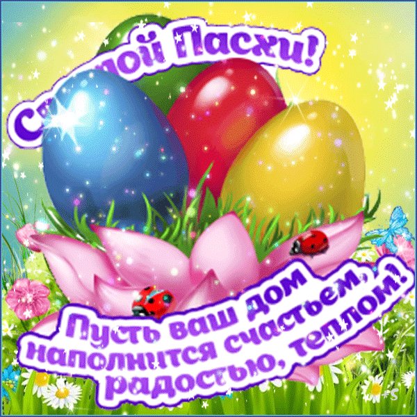 file_93303146