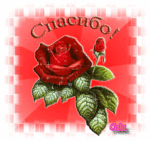 preview 46668114 spasibo 2