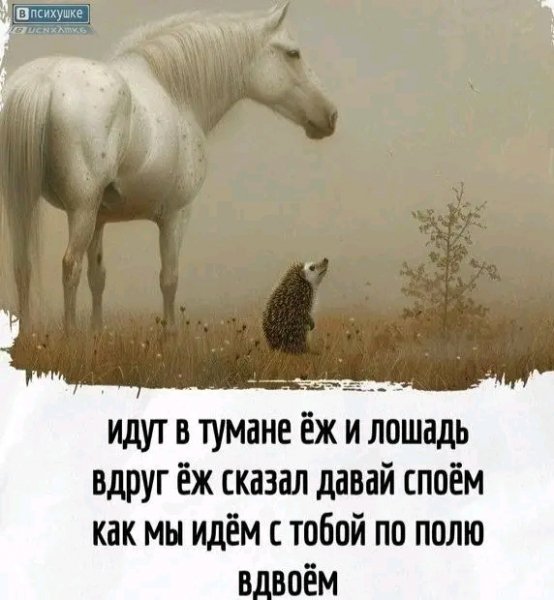 file_103238915