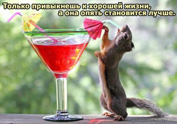 ЖизньЛучше