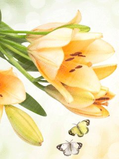 file_58352583