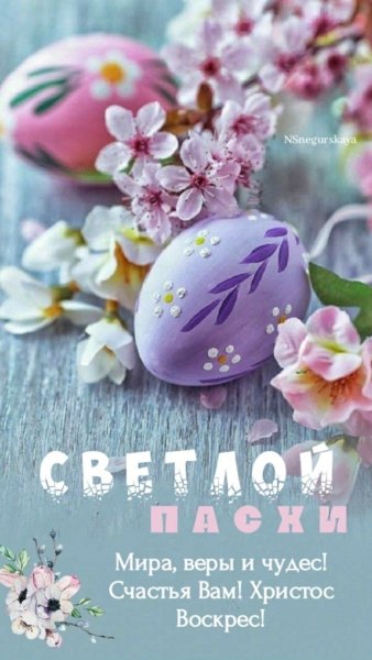 file_93186346