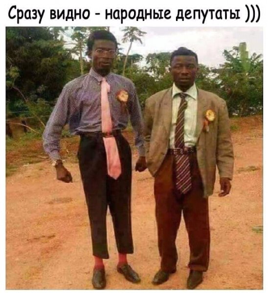 FB IMG 15636994355281426