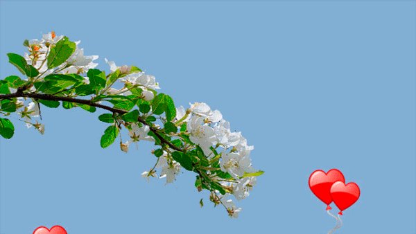 file_45978226