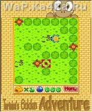 Golden Tortoise Adventure