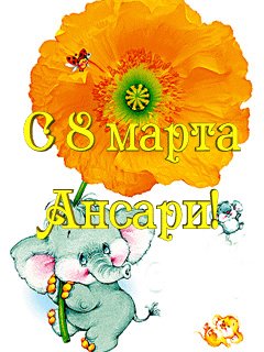 Ансари с 8 марта