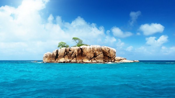file_69386455