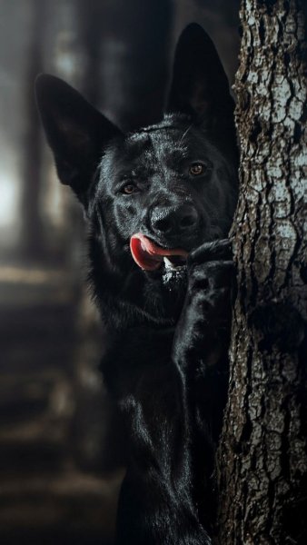 file_101751506