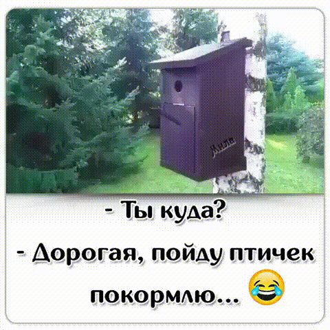 gif 1596544061