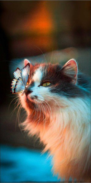 file_83971411