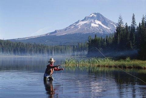 Bass Fishing Mania 4
