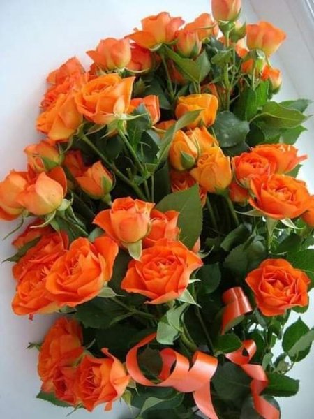 FB IMG 1678978010695