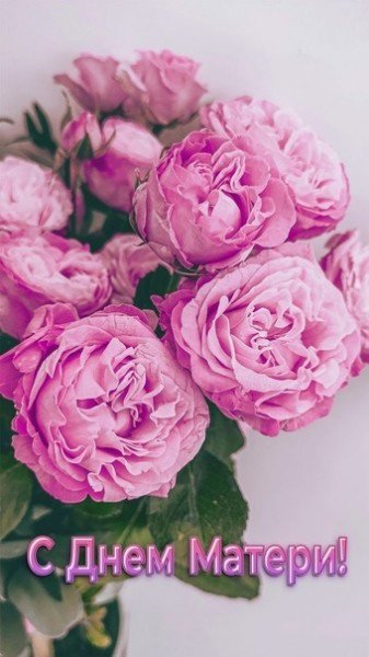 file_95155177