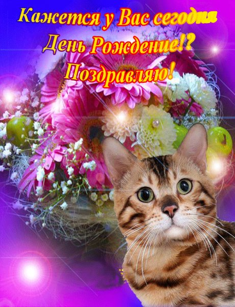 file_75409130