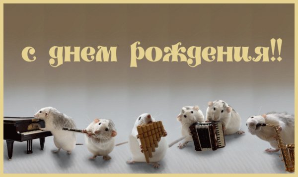 С ДНЁМ РОЖДЕНИЯ АНИМАЦИЯ